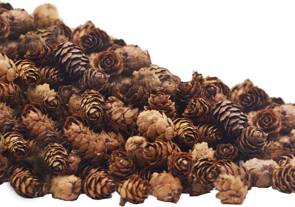 A close-up of a collection of pine cones in various brown tones arranged closely together.