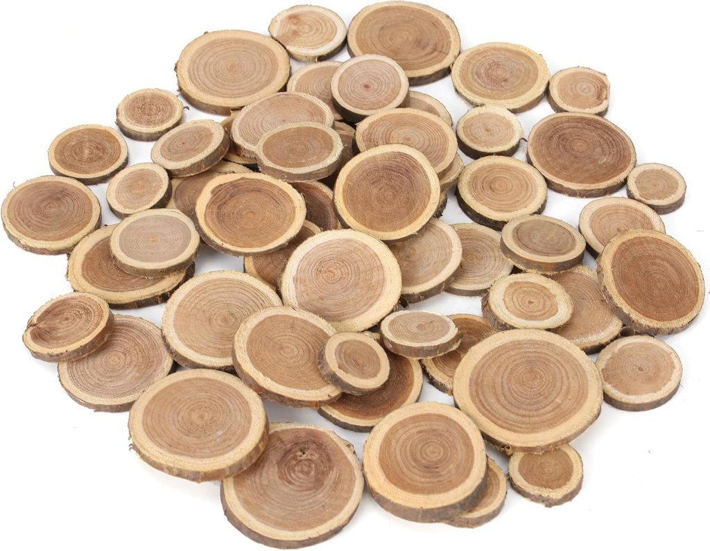 A collection of variously-sized wooden slices arranged randomly on a white background.